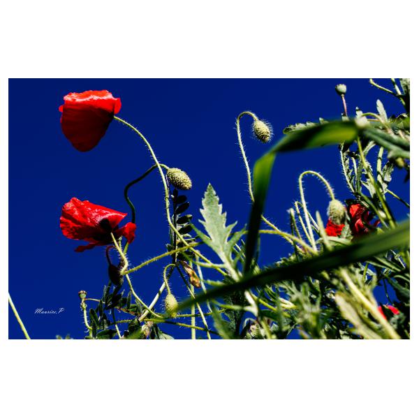 PHOTO84, CLUB, 84 , LUBERON